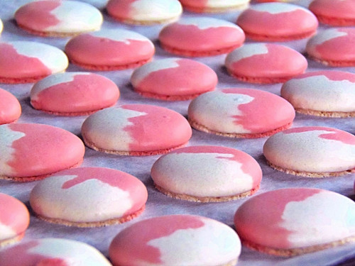 Macaron (foltos)