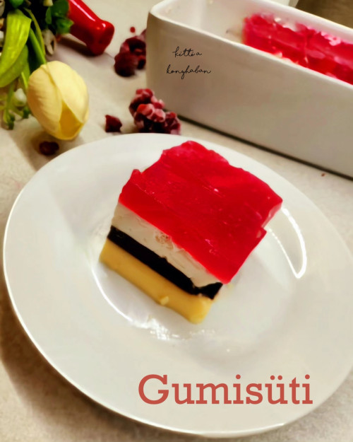 Gumisüti